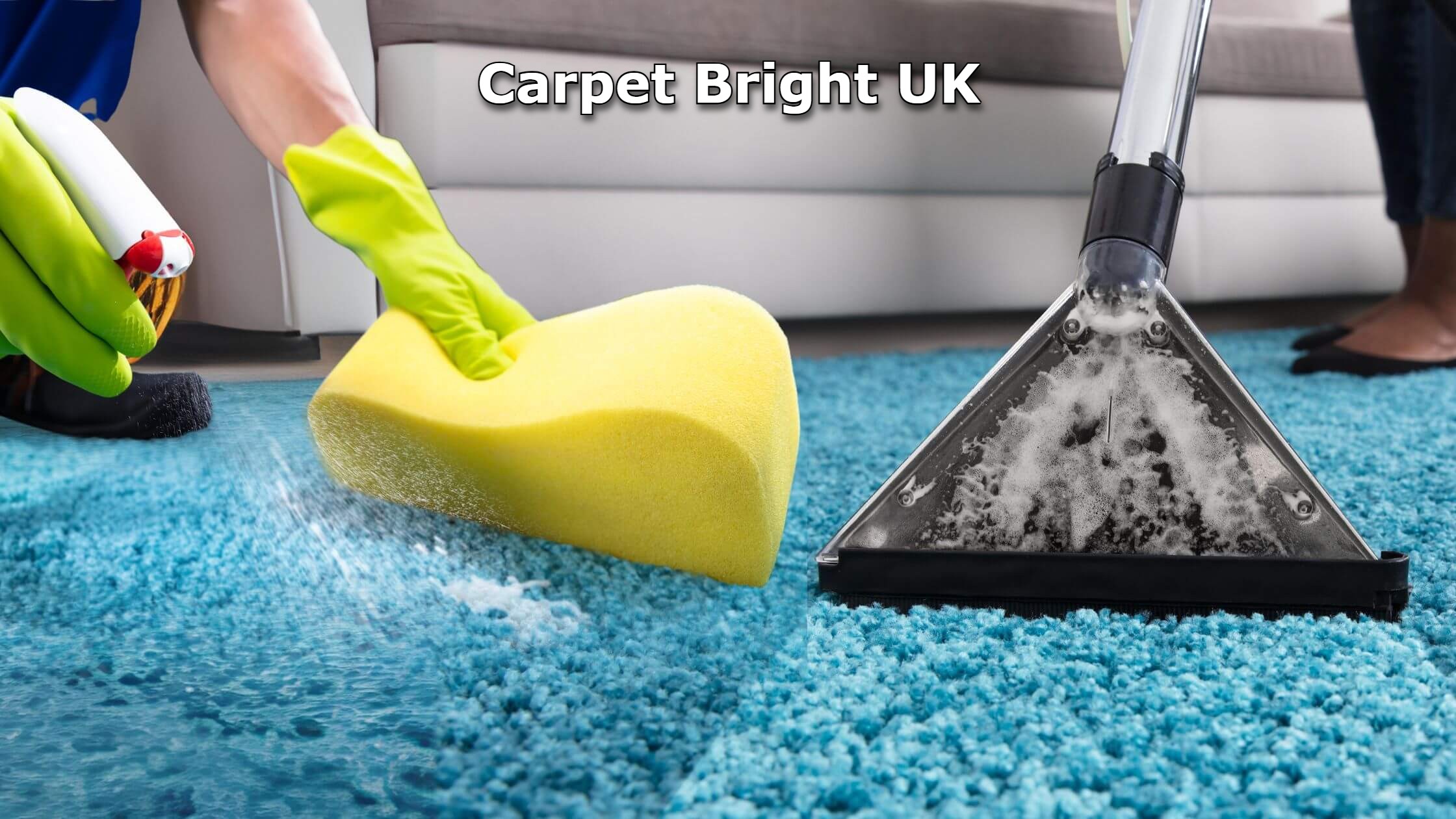 Carpet Cleaning