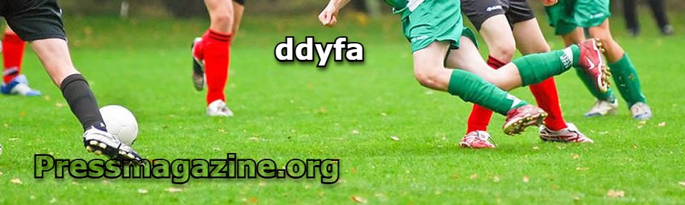 Diving into Ddyfa: A User’s Guide to Enhanced Digital Experiences